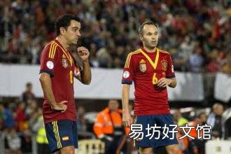 2010年南非世界杯最终排名 2010年南非世界杯冠军