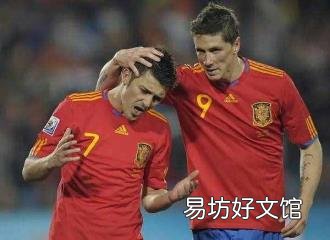 2010年南非世界杯最终排名 2010年南非世界杯冠军