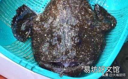 深海鱼是哪几种 哪些鱼是深海鱼