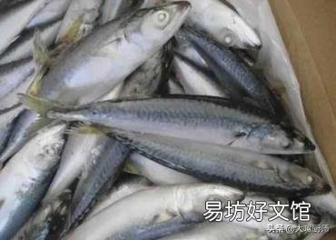 深海鱼是哪几种 哪些鱼是深海鱼