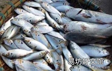 深海鱼是哪几种 哪些鱼是深海鱼