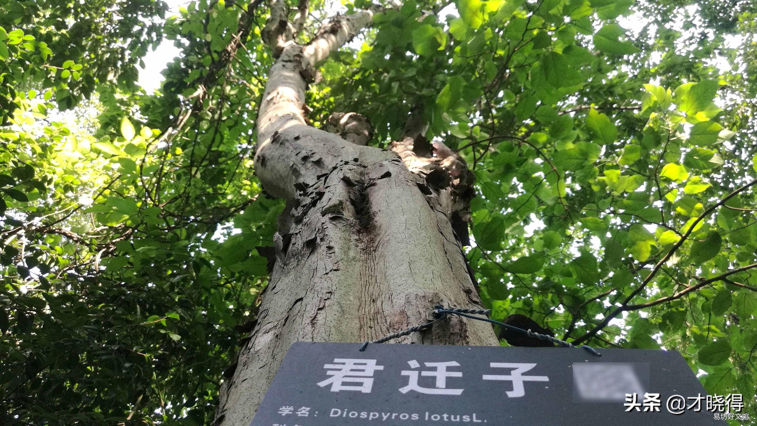行万里路不如阅人无数下一句 读万卷书不如行万里路行万里路不如阅人无数