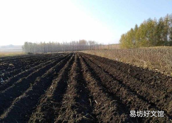 中国严寒寒冷地区划分 严寒地区