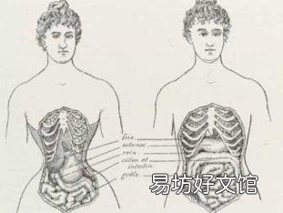 南极人瘦身减肥腰带有用吗 减肥腰带有用吗