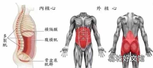 南极人瘦身减肥腰带有用吗 减肥腰带有用吗