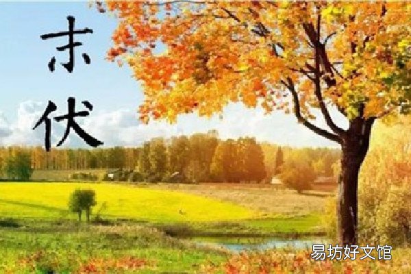末伏是几月几号2022年 末伏是出伏了吗