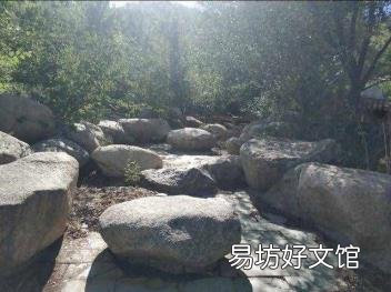 西安房价走势最新消息 蓝天森林花苑