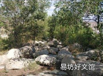 西安房价走势最新消息 蓝天森林花苑
