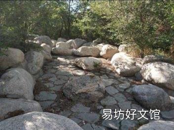 西安房价走势最新消息 蓝天森林花苑