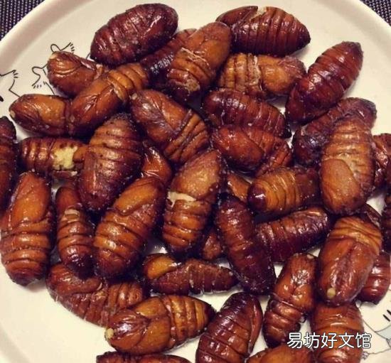 活蚕蛹泡酒方法如下 蚕蛹中毒