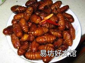 活蚕蛹泡酒方法如下 蚕蛹中毒