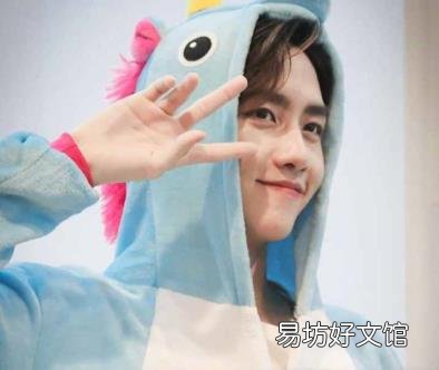 星际宝贝第一季免费全集 史迪仔动画片