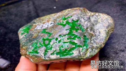他山之石后面一句是啥 他山之石的下一句
