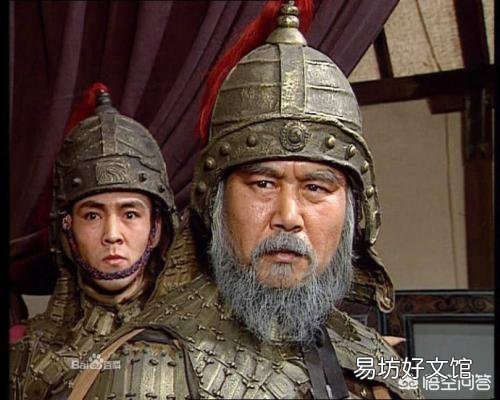 诸葛亮儿子临死前,为何后悔没有除掉姜维?两人有何矛盾?