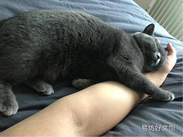 猫毛过敏有哪些症状(小孩猫毛过敏有哪些症状)