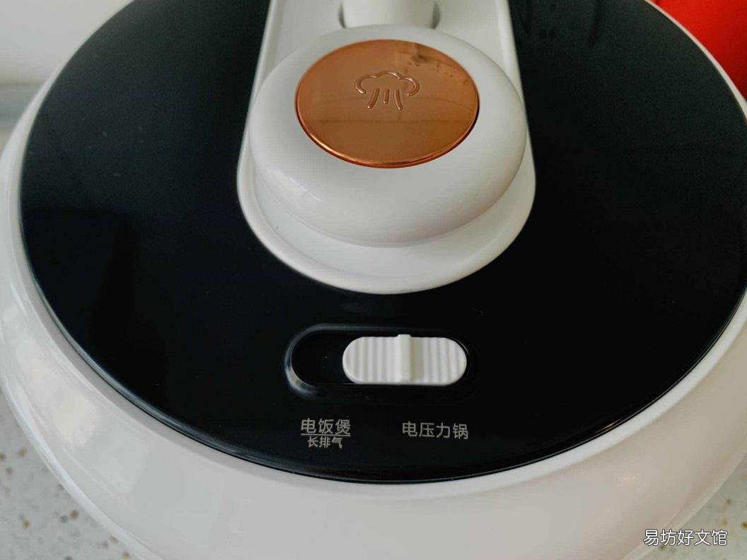 多功能压力锅什么牌子好 电压力锅什么牌子好
