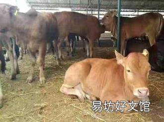 关于下雨的农谚谚语大全 关于雨的俗语
