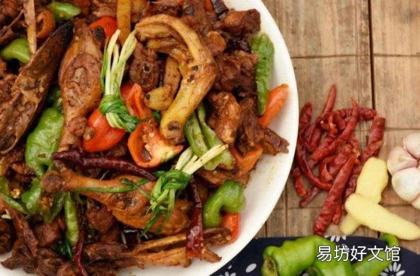 鸭子是哺乳动物么 鸭子是什么动物