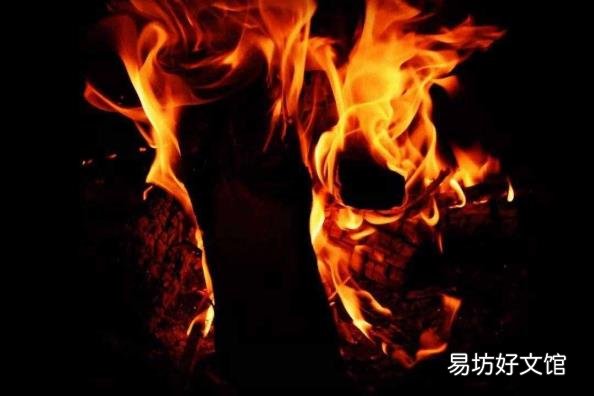 鸭子是哺乳动物么 鸭子是什么动物