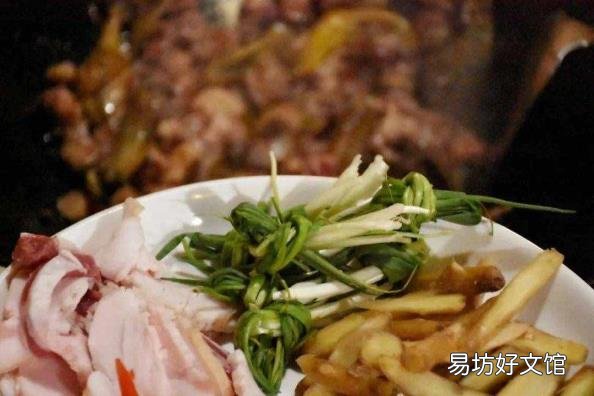 鸭子是哺乳动物么 鸭子是什么动物