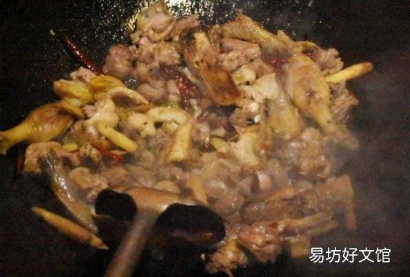 鸭子是哺乳动物么 鸭子是什么动物
