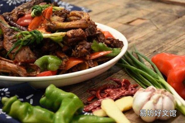 鸭子是哺乳动物么 鸭子是什么动物