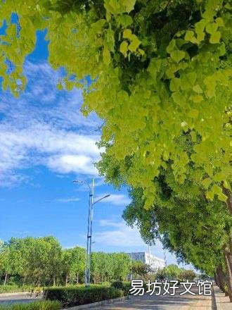 哀莫大于心死,悲莫过于无声 莫大于心死