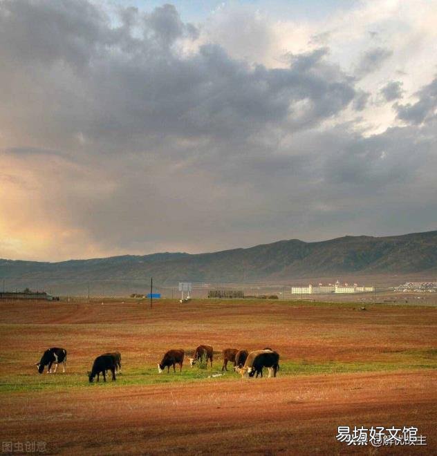 喀纳斯景点介绍 喀纳斯景区
