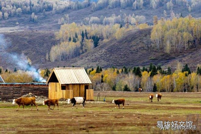 喀纳斯景点介绍 喀纳斯景区