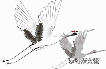 君不見(jiàn)黃河之水天上來(lái)意思 君不見(jiàn)黃河之水