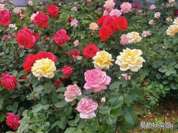 侧面烘托人物形象的句子 侧面烘托