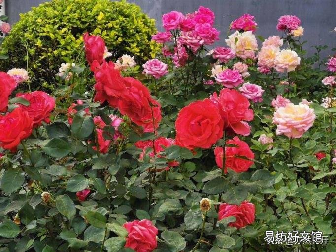 侧面烘托人物形象的句子 侧面烘托