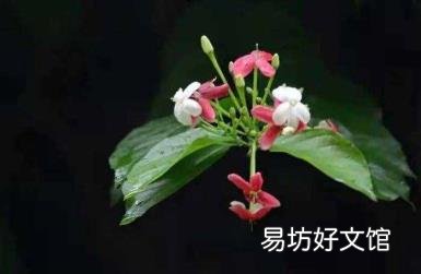 如沐春风是啥意思 如沐春风的意思