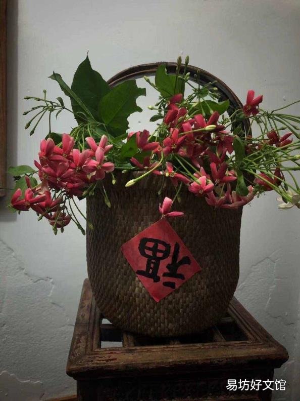 如沐春风是啥意思 如沐春风的意思