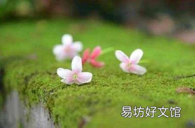 如沐春风是啥意思 如沐春风的意思