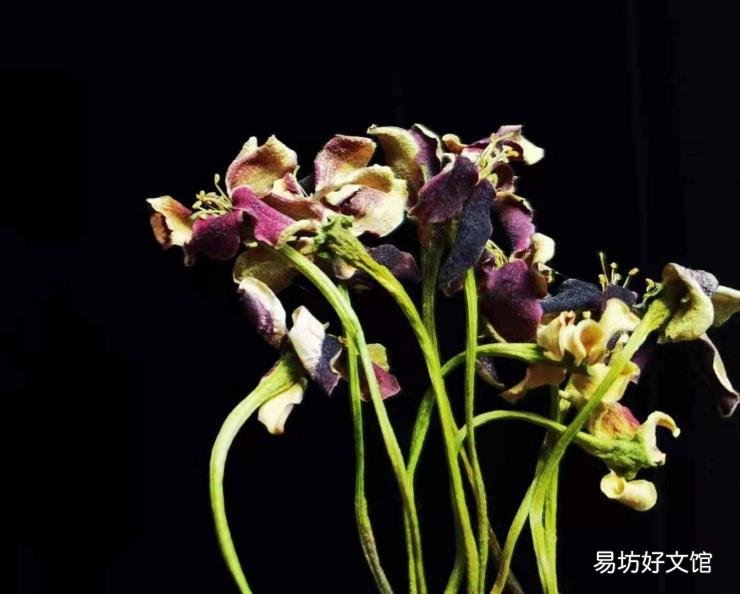 如沐春风是啥意思 如沐春风的意思