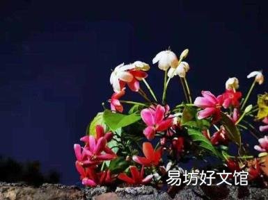 如沐春风是啥意思 如沐春风的意思