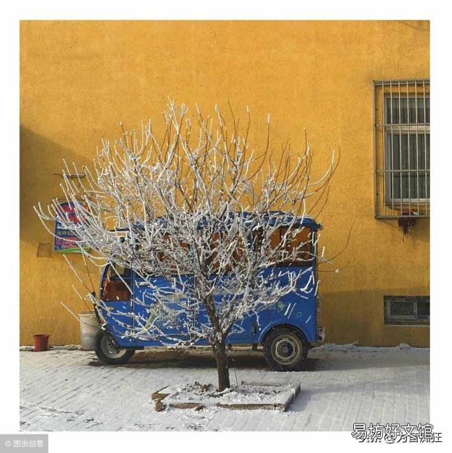 雪有关的歌曲有哪些 关于雪的歌