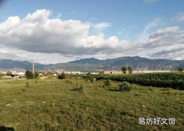 儿歌大全100首连续播放 小草歌曲
