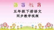 为什么飞蛾会扑火 飞蛾扑火歇后语