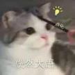 交通信号灯表示什么 黄灯表示什么