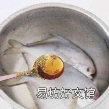 银鲳鱼为什么不能人工养殖 银鲳鱼