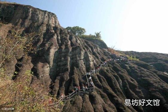 大红袍属于什么茶是红茶吗 大红袍是什么茶
