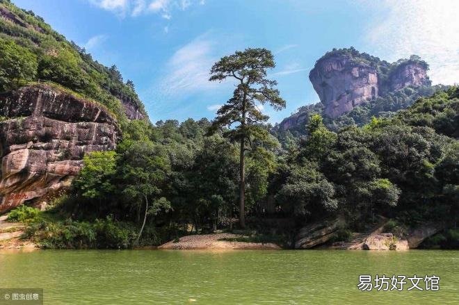 大红袍属于什么茶是红茶吗 大红袍是什么茶