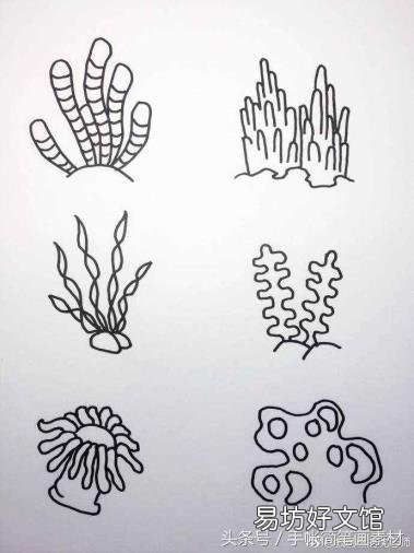 海洋生物画画作品 海洋生物简笔画