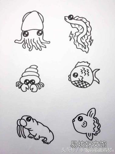 海洋生物画画作品 海洋生物简笔画