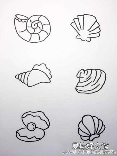 海洋生物画画作品 海洋生物简笔画