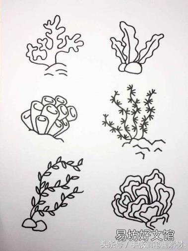 海洋生物画画作品 海洋生物简笔画