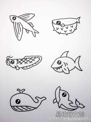 海洋生物画画作品 海洋生物简笔画