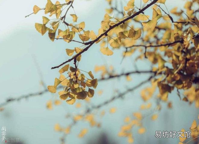 夜静春山空的意思是什么 夜静春山空？？